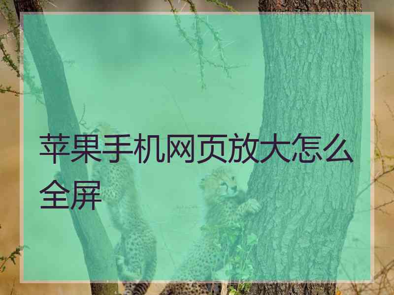 苹果手机网页放大怎么全屏