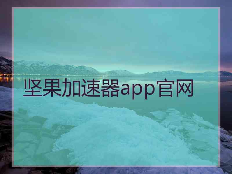 坚果加速器app官网