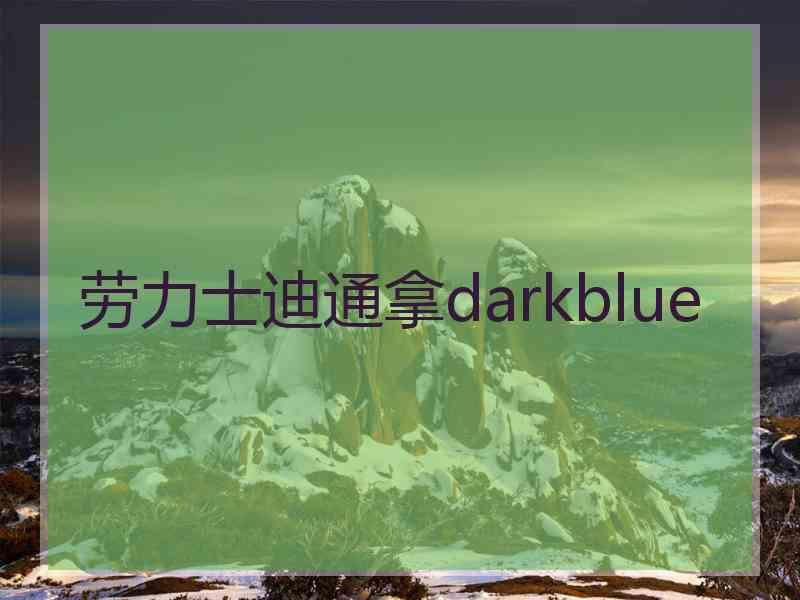 劳力士迪通拿darkblue