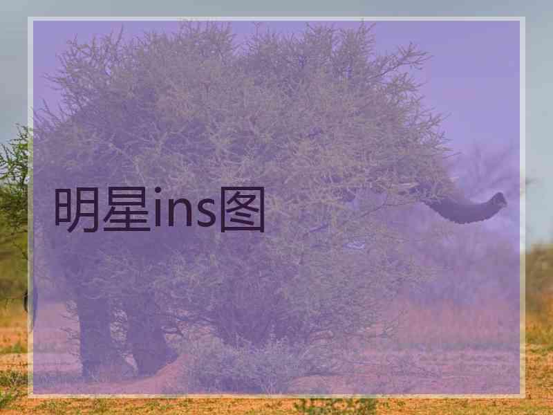 明星ins图