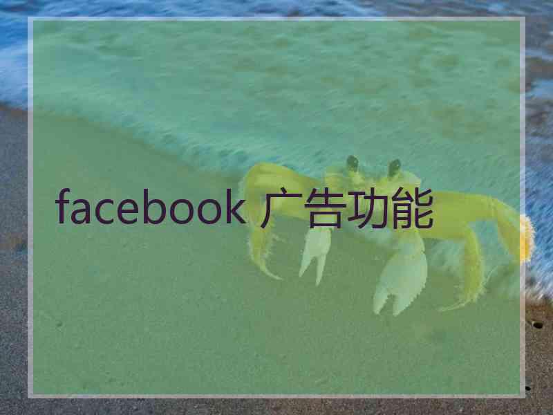 facebook 广告功能