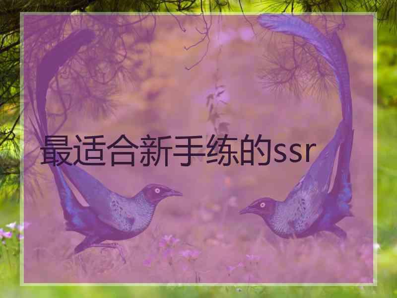 最适合新手练的ssr