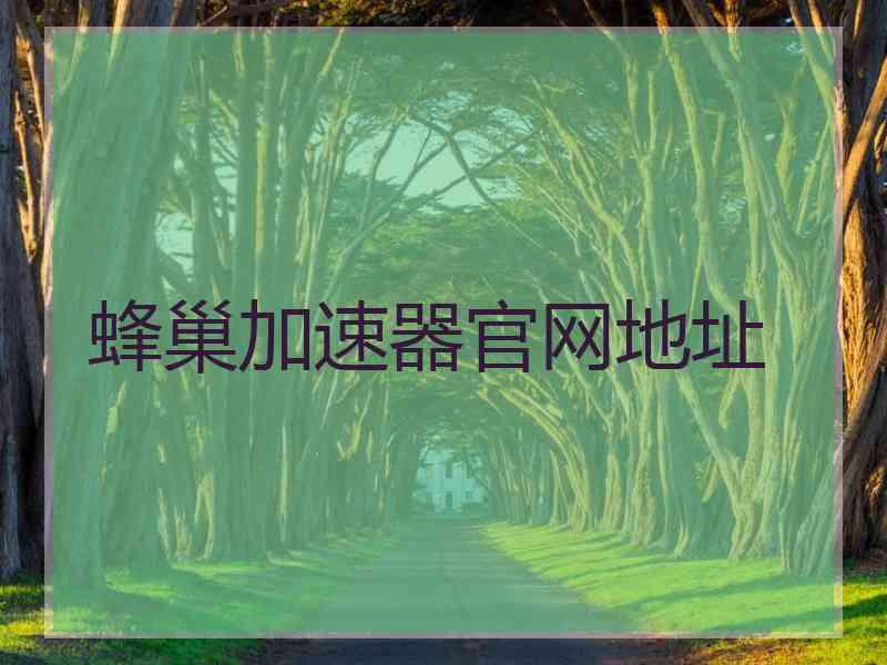 蜂巢加速器官网地址