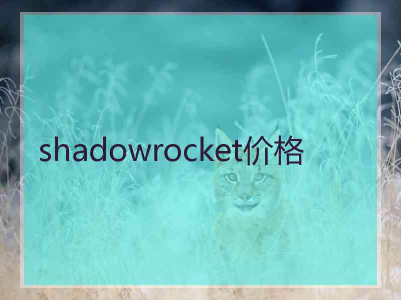 shadowrocket价格