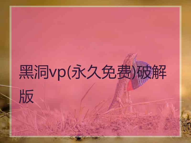 黑洞vp(永久免费)破解版