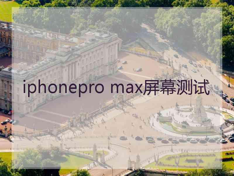 iphonepro max屏幕测试