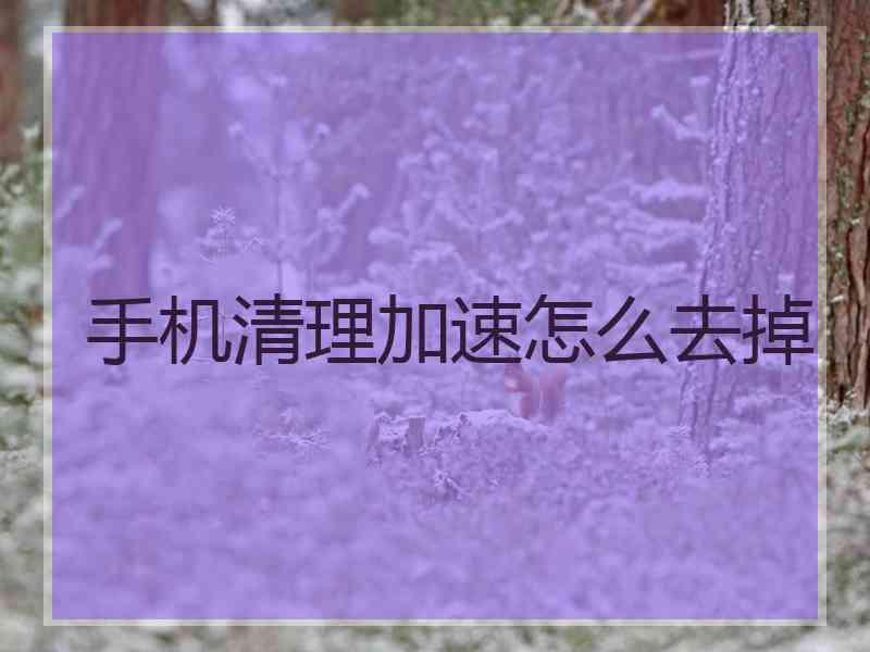 手机清理加速怎么去掉