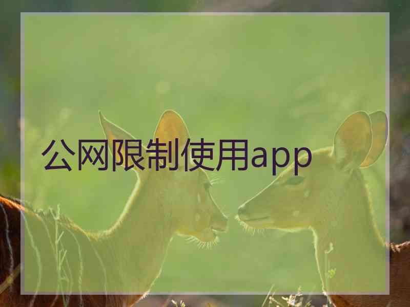 公网限制使用app