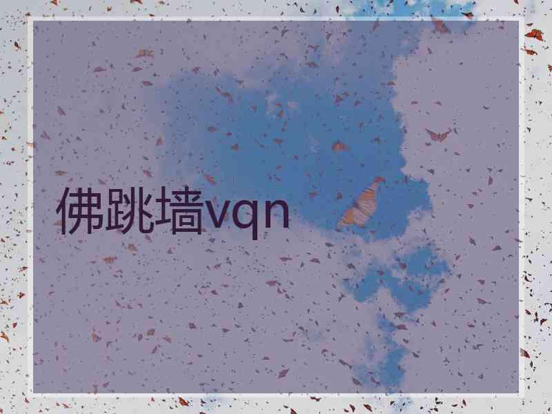 佛跳墙vqn