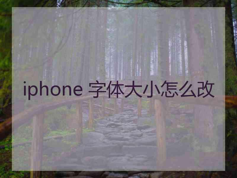 iphone 字体大小怎么改