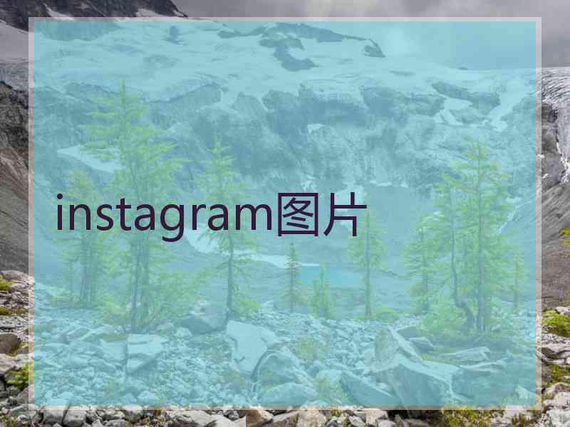 instagram图片