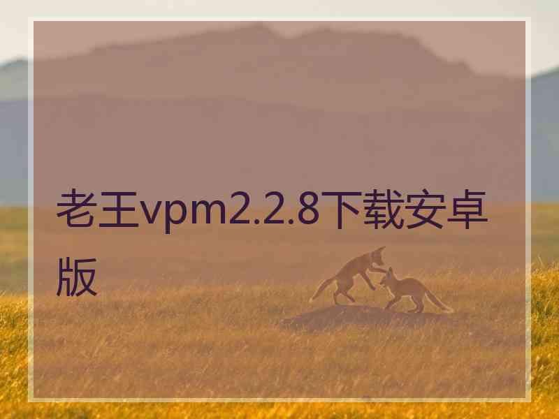 老王vpm2.2.8下载安卓版