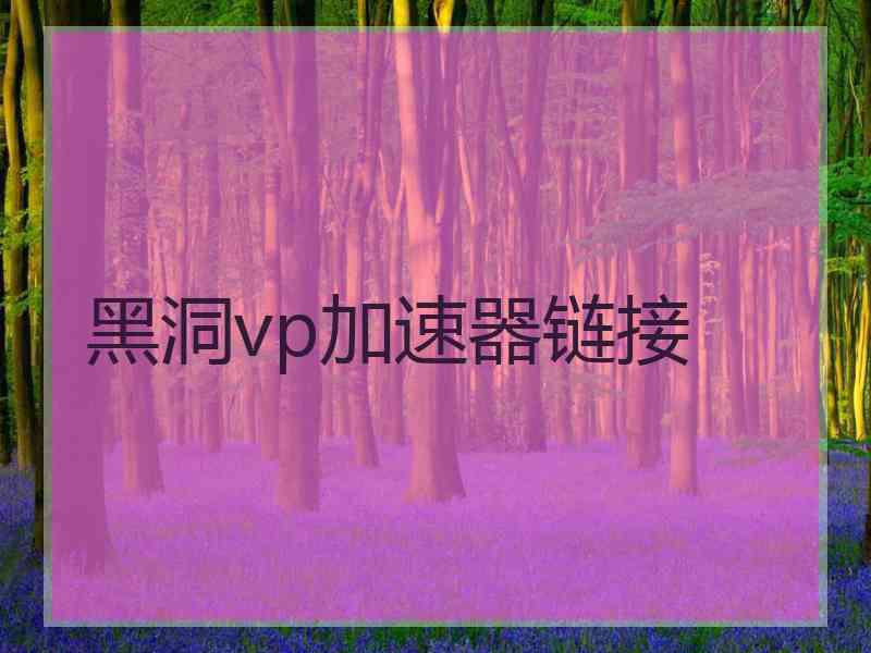 黑洞vp加速器链接