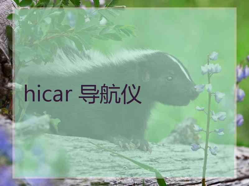 hicar 导航仪