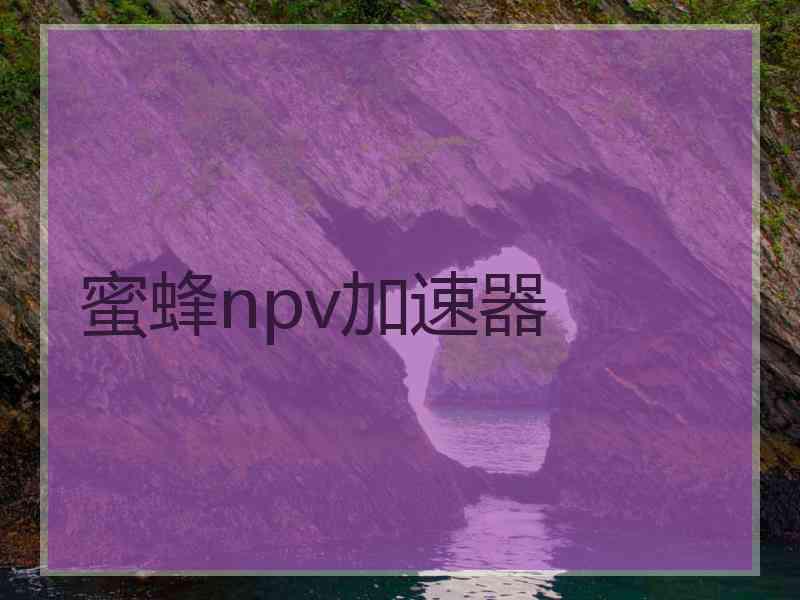 蜜蜂npv加速器