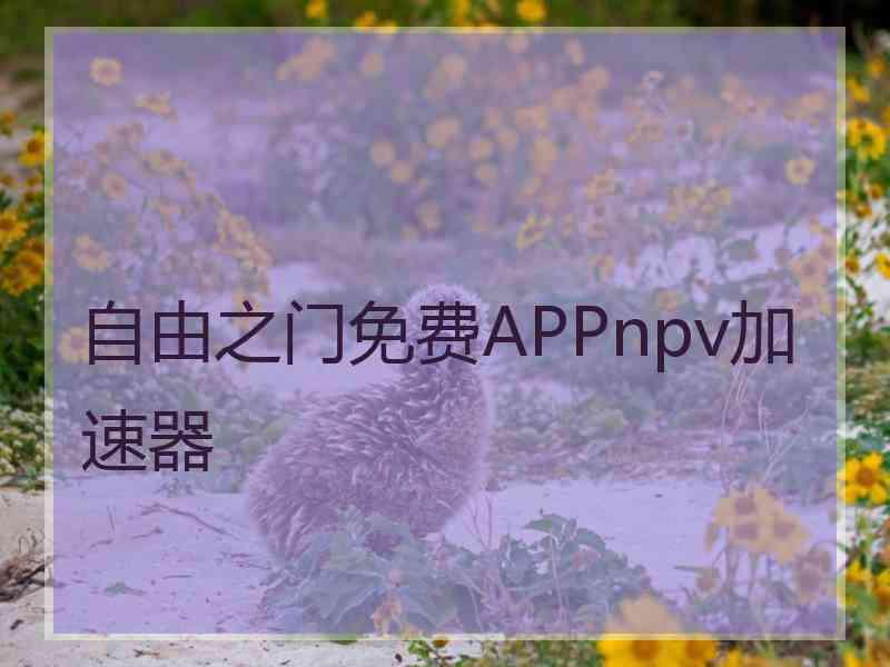 自由之门免费APPnpv加速器