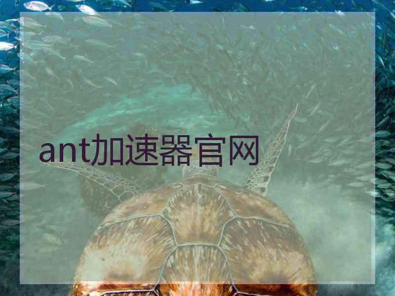 ant加速器官网