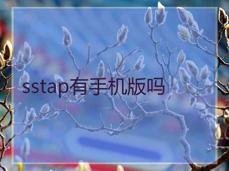 sstap有手机版吗