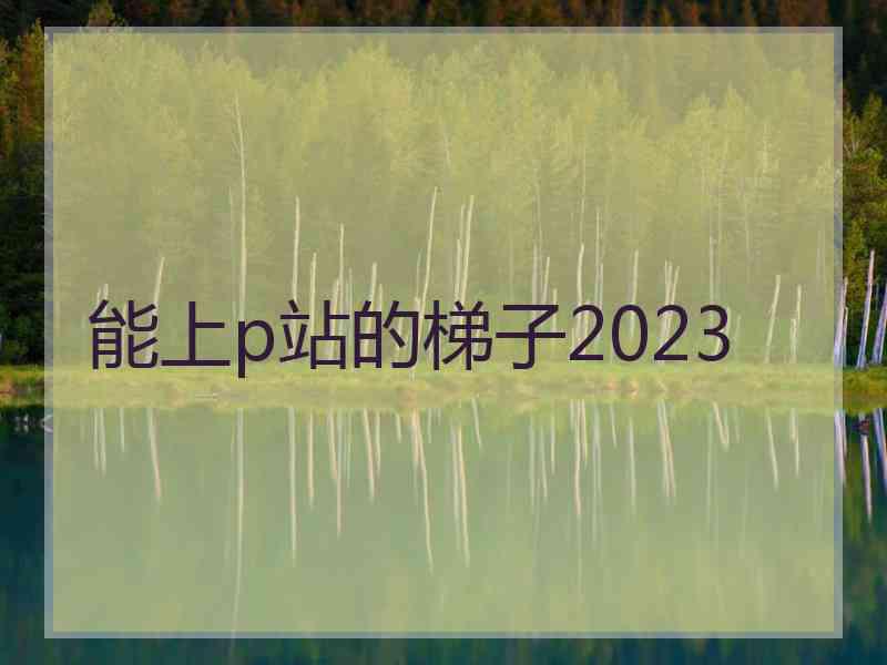 能上p站的梯子2023