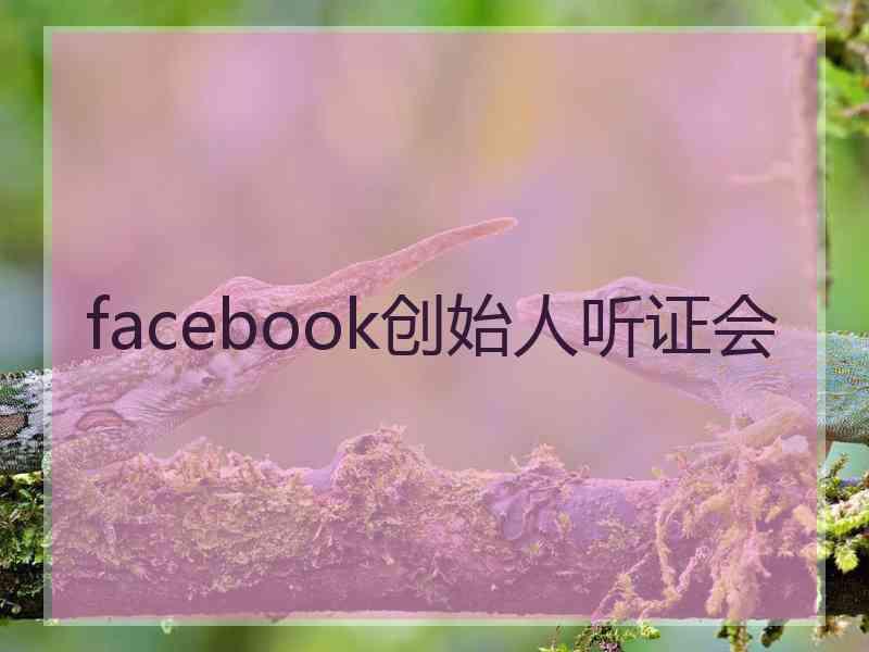 facebook创始人听证会