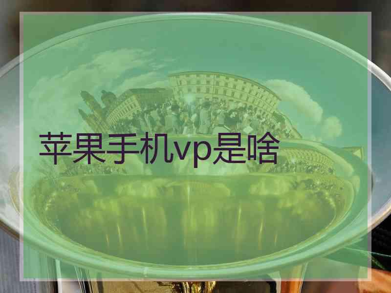 苹果手机vp是啥