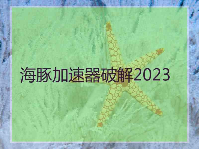 海豚加速器破解2023