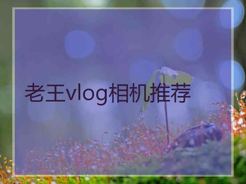 老王vlog相机推荐