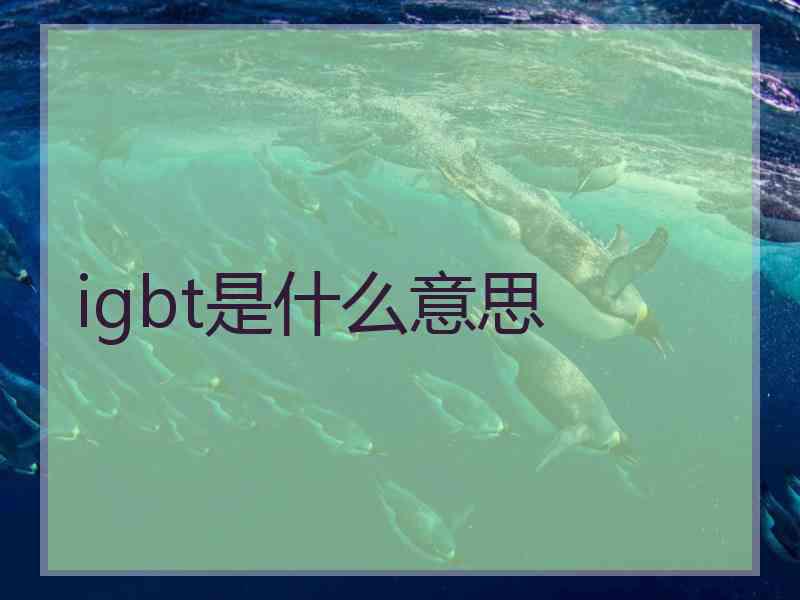 igbt是什么意思