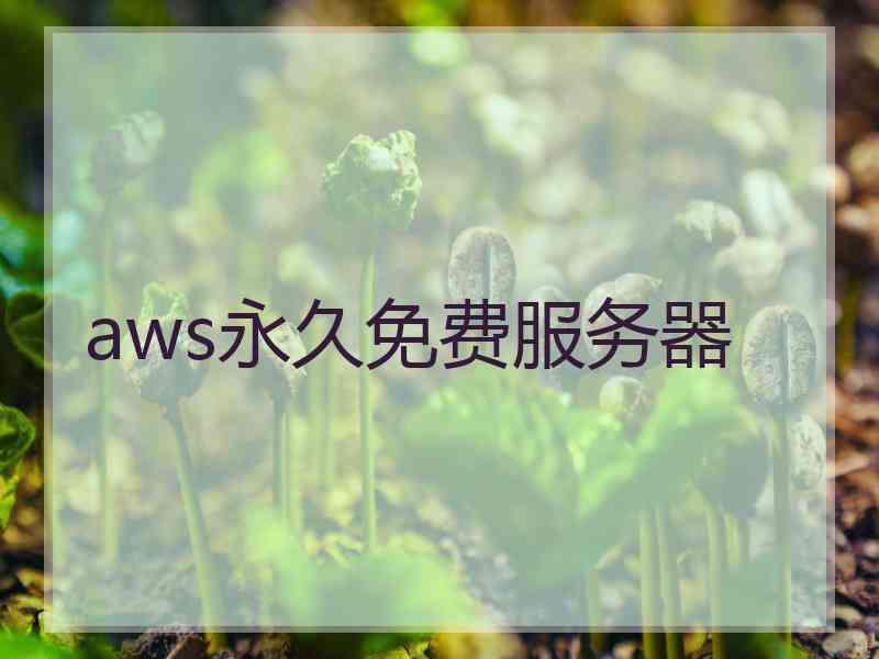 aws永久免费服务器