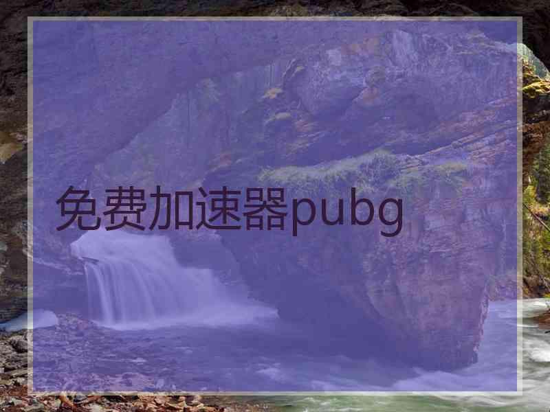 免费加速器pubg