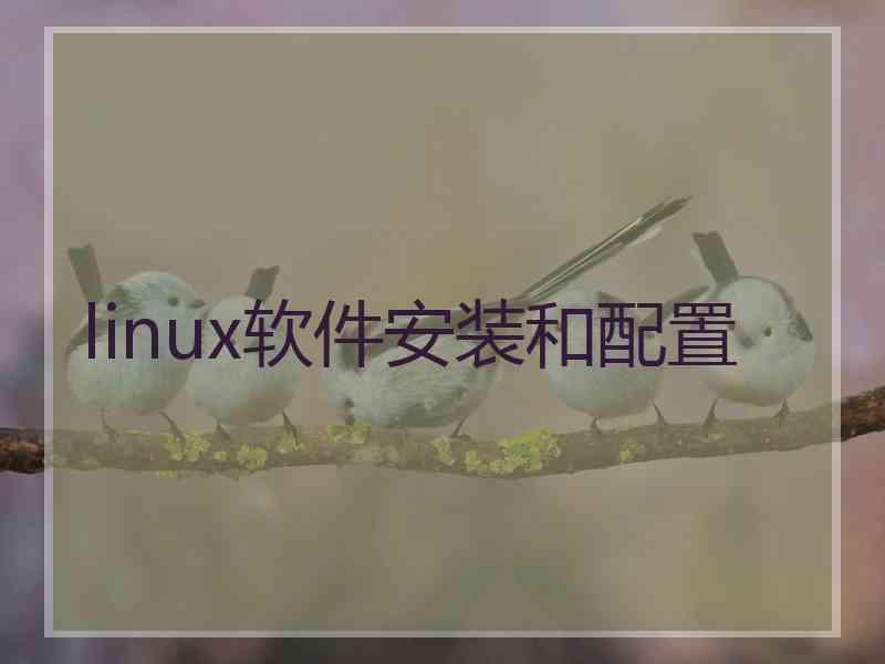 linux软件安装和配置