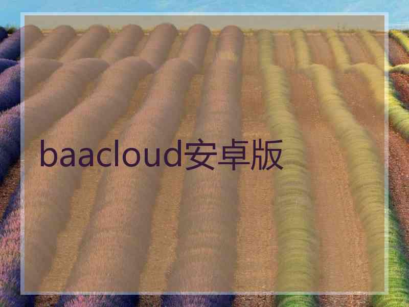 baacloud安卓版