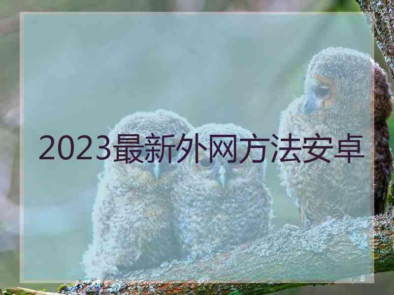 2023最新外网方法安卓