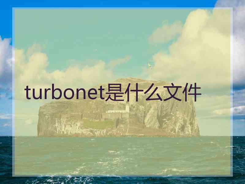 turbonet是什么文件