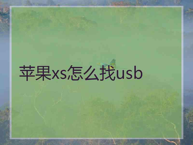 苹果xs怎么找usb