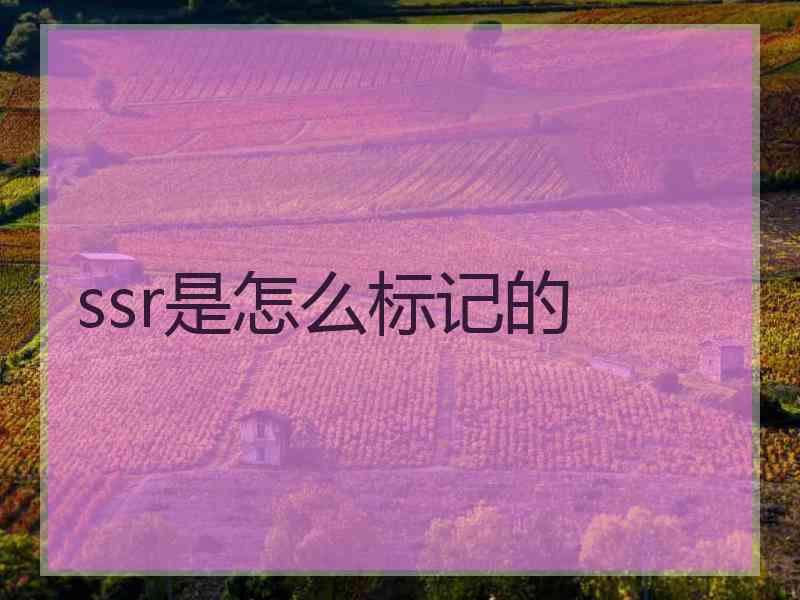 ssr是怎么标记的