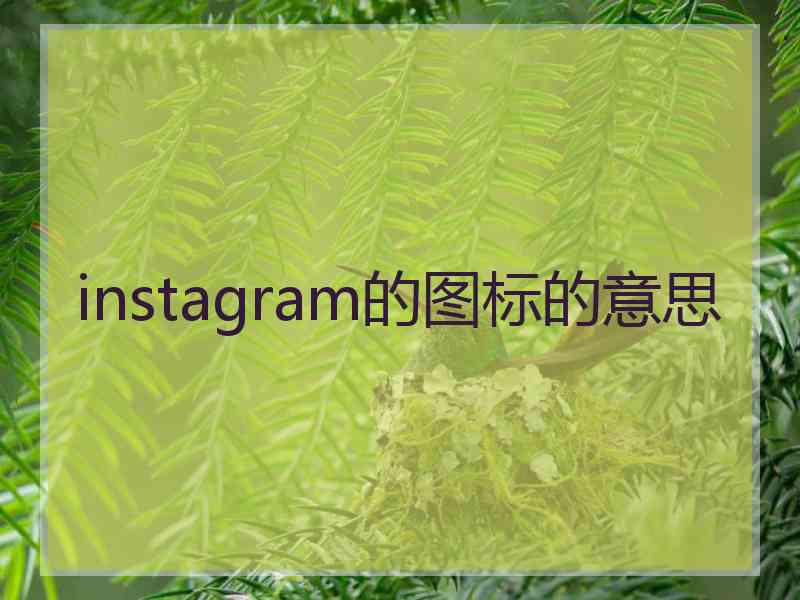 instagram的图标的意思