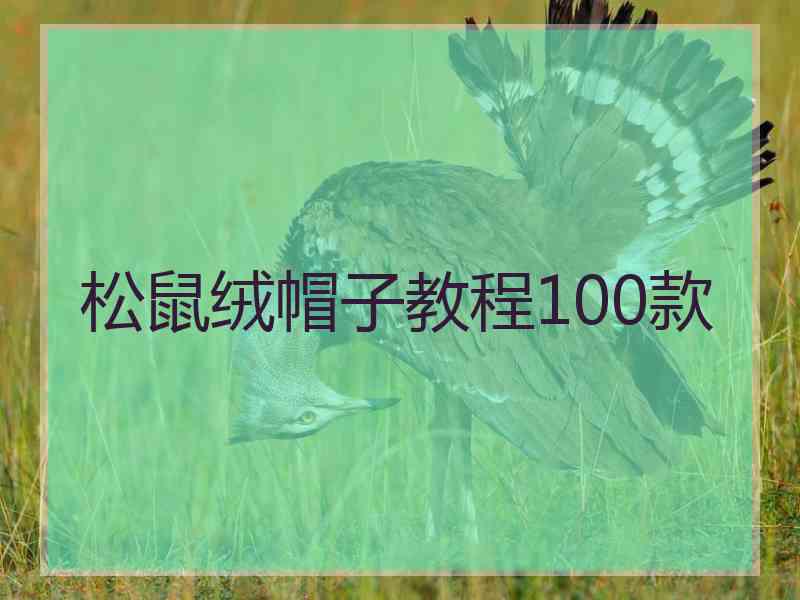 松鼠绒帽子教程100款