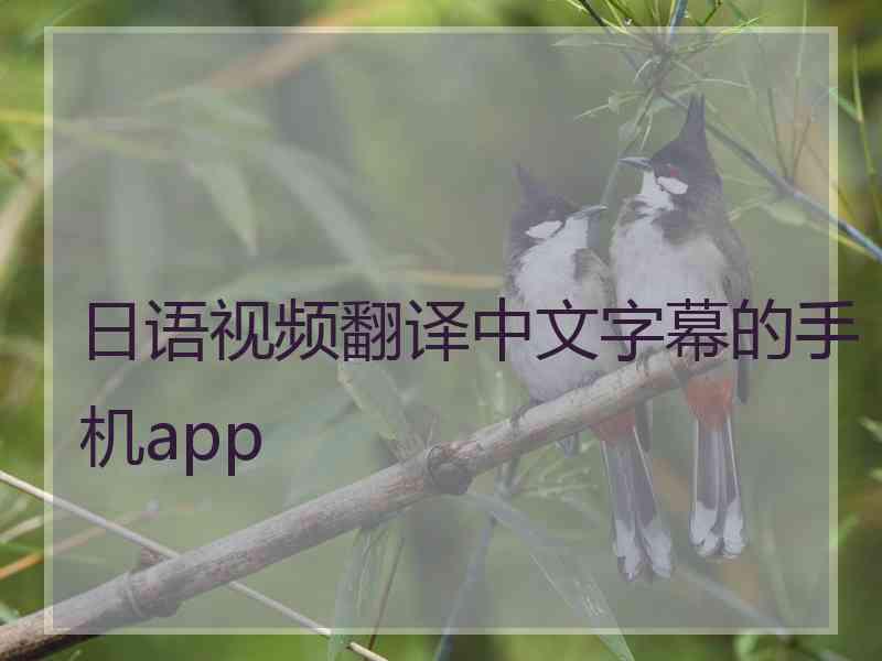 日语视频翻译中文字幕的手机app