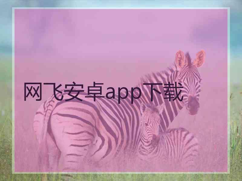 网飞安卓app下载