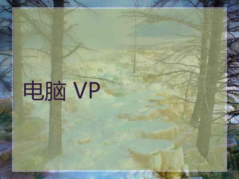 电脑 VP