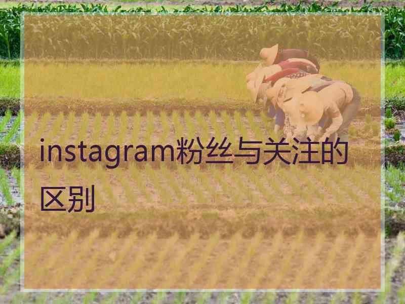 instagram粉丝与关注的区别