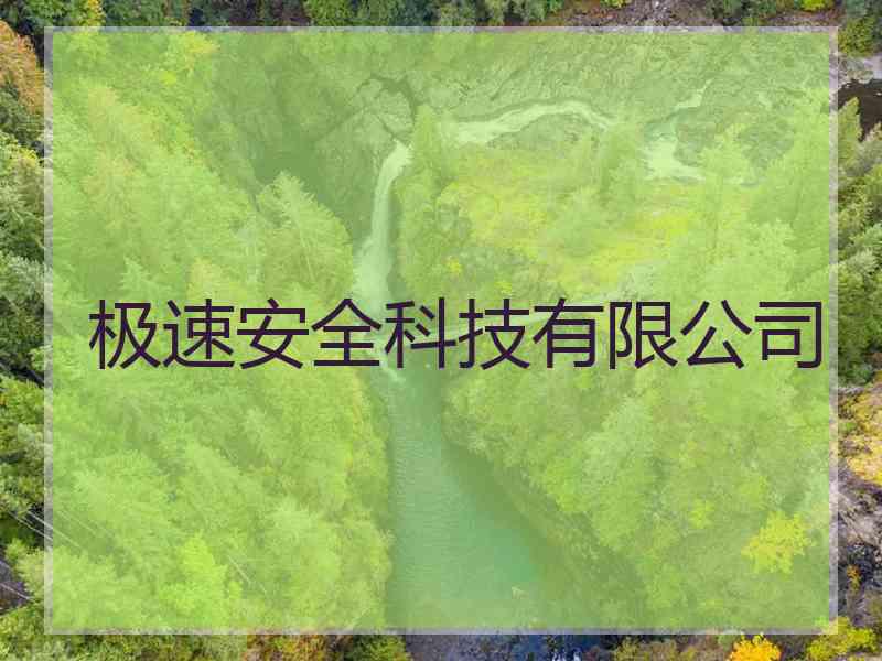 极速安全科技有限公司