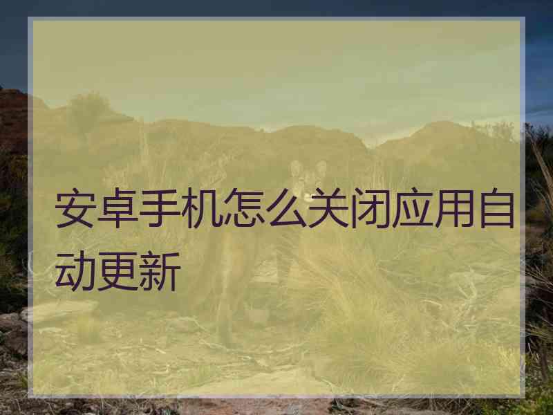 安卓手机怎么关闭应用自动更新