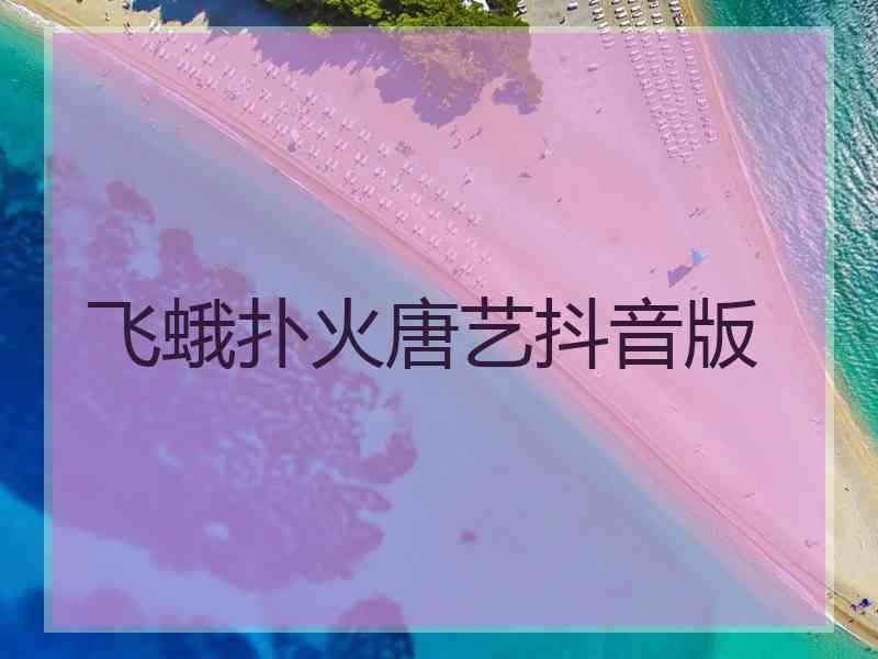 飞蛾扑火唐艺抖音版