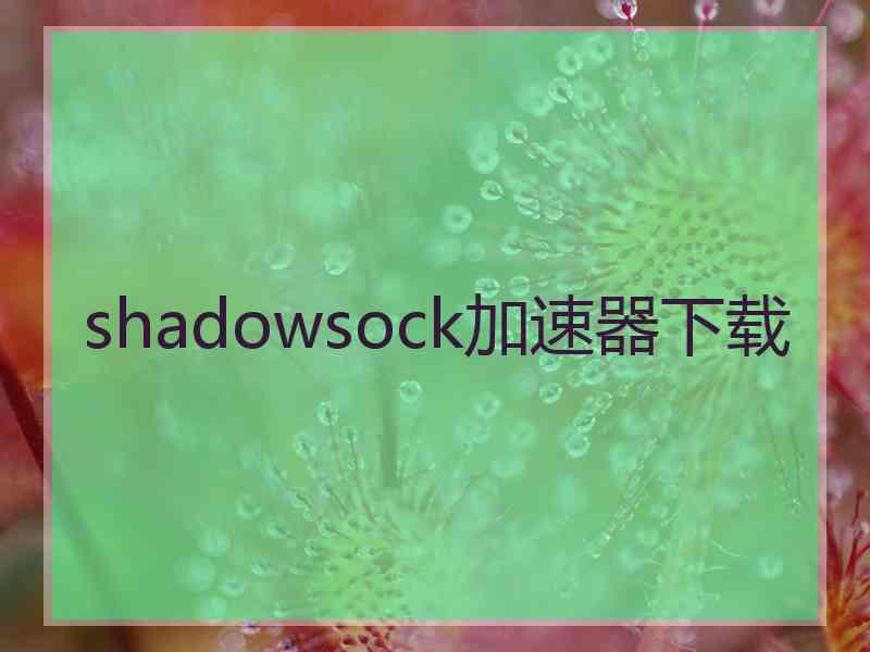 shadowsock加速器下载