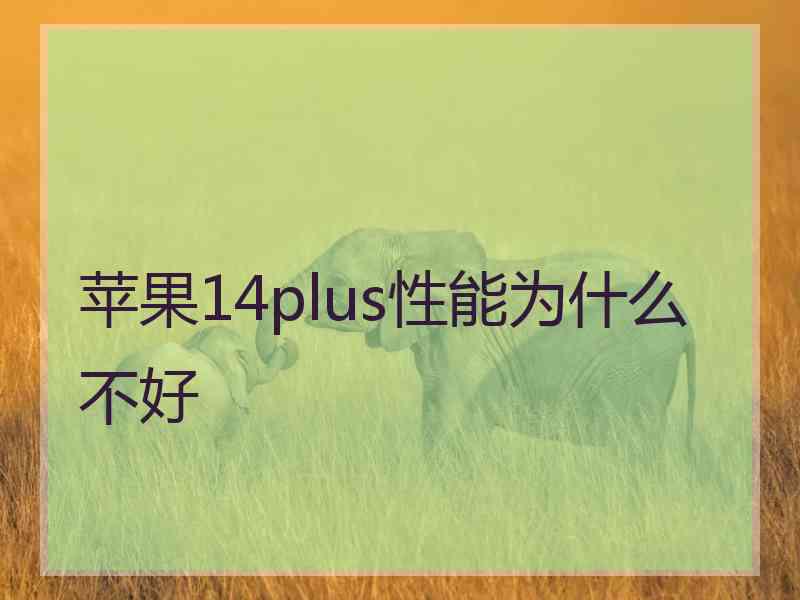 苹果14plus性能为什么不好