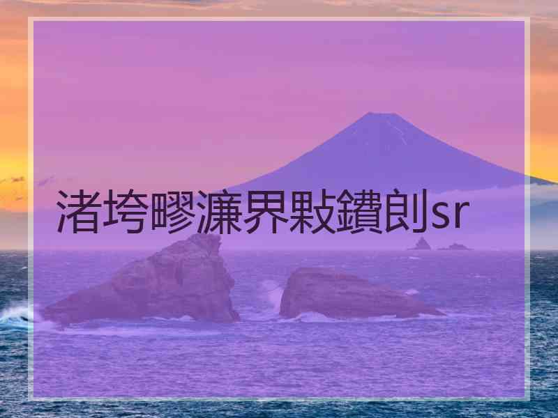 渚垮疁濂界敤鐨剆sr