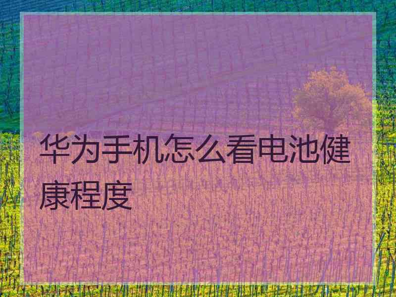 华为手机怎么看电池健康程度