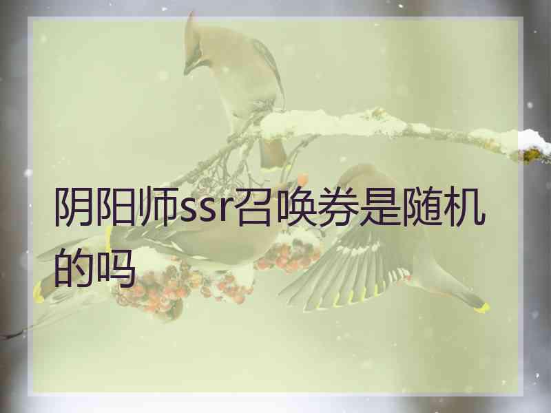 阴阳师ssr召唤券是随机的吗